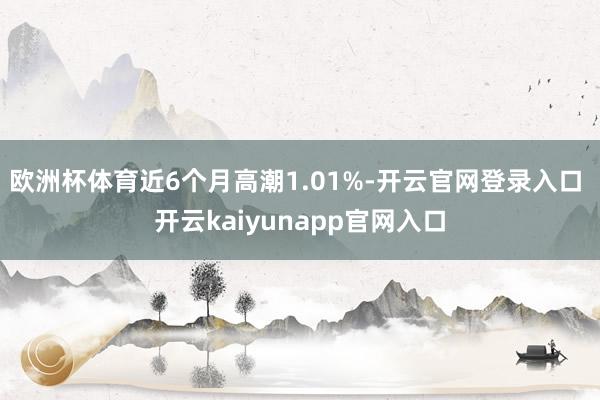 欧洲杯体育近6个月高潮1.01%-开云官网登录入口 开云kaiyunapp官网入口