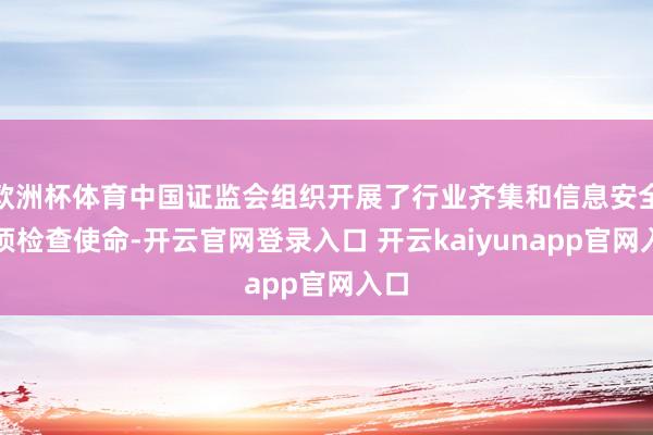 欧洲杯体育中国证监会组织开展了行业齐集和信息安全专项检查使命-开云官网登录入口 开云kaiyunapp官网入口