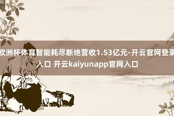 欧洲杯体育智能耗尽断绝营收1.53亿元-开云官网登录入口 开云kaiyunapp官网入口