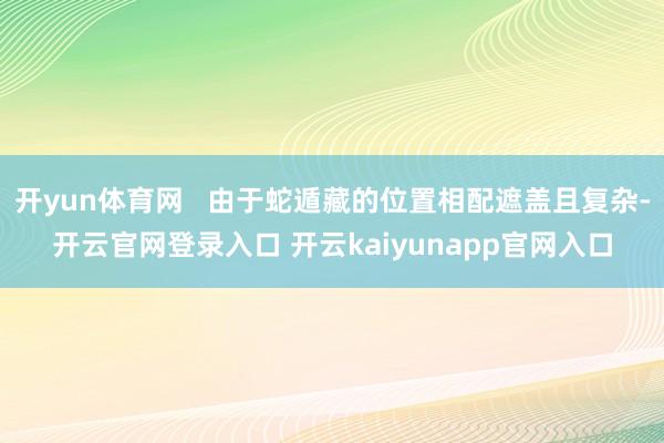 开yun体育网   由于蛇遁藏的位置相配遮盖且复杂-开云官网登录入口 开云kaiyunapp官网入口