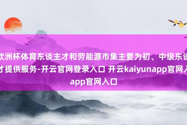 欧洲杯体育东谈主才和劳能源市集主要为初、中级东谈主才提供服务-开云官网登录入口 开云kaiyunapp官网入口