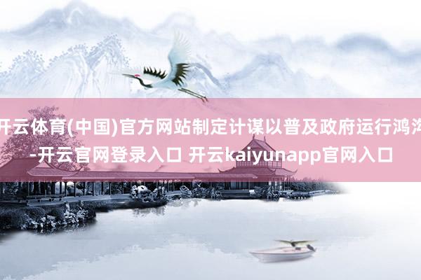 开云体育(中国)官方网站制定计谋以普及政府运行鸿沟-开云官网登录入口 开云kaiyunapp官网入口