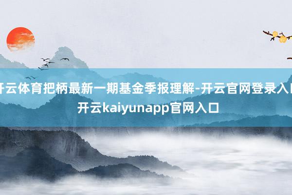 开云体育把柄最新一期基金季报理解-开云官网登录入口 开云kaiyunapp官网入口