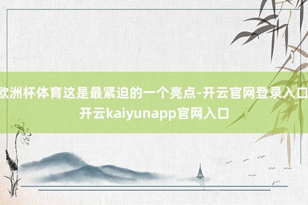 欧洲杯体育这是最紧迫的一个亮点-开云官网登录入口 开云kaiyunapp官网入口