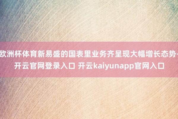 欧洲杯体育新易盛的国表里业务齐呈现大幅增长态势-开云官网登录入口 开云kaiyunapp官网入口