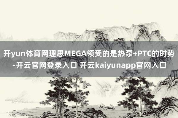 开yun体育网理思MEGA领受的是热泵+PTC的时势-开云官网登录入口 开云kaiyunapp官网入口