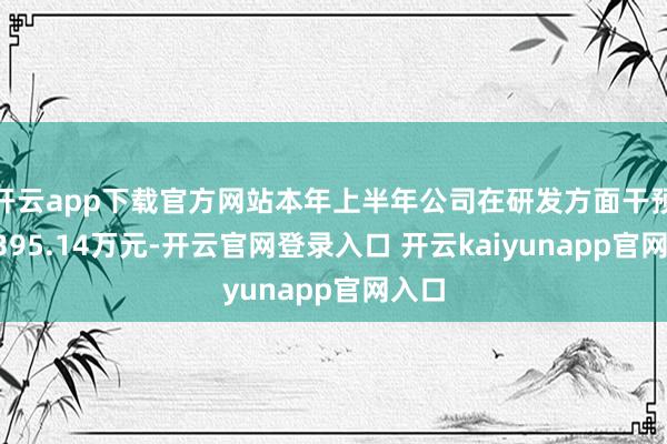 开云app下载官方网站本年上半年公司在研发方面干预了1395.14万元-开云官网登录入口 开云kaiyunapp官网入口