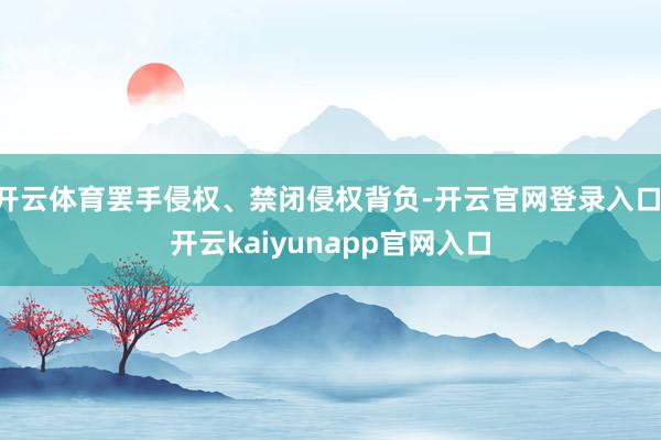 开云体育罢手侵权、禁闭侵权背负-开云官网登录入口 开云kaiyunapp官网入口