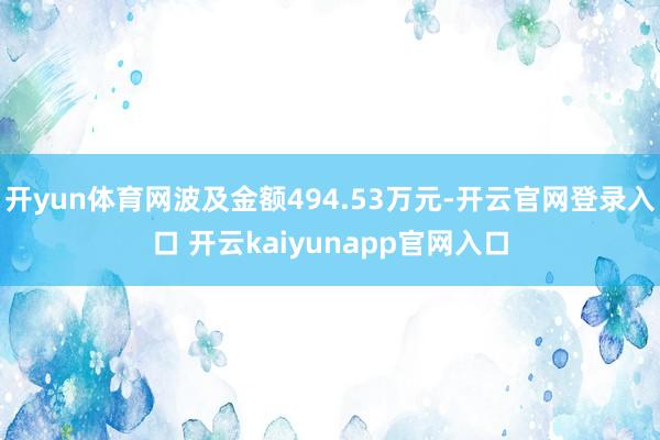 开yun体育网波及金额494.53万元-开云官网登录入口 开云kaiyunapp官网入口