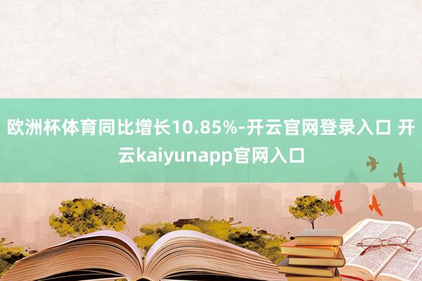 欧洲杯体育同比增长10.85%-开云官网登录入口 开云kaiyunapp官网入口