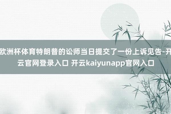 欧洲杯体育特朗普的讼师当日提交了一份上诉见告-开云官网登录入口 开云kaiyunapp官网入口
