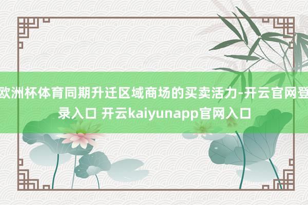 欧洲杯体育同期升迁区域商场的买卖活力-开云官网登录入口 开云kaiyunapp官网入口