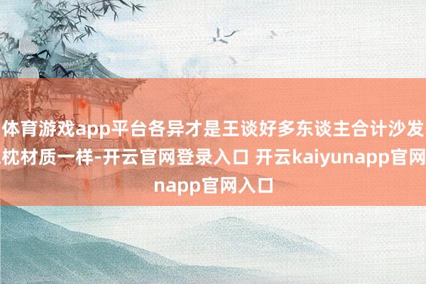 体育游戏app平台各异才是王谈好多东谈主合计沙发和抱枕材质一样-开云官网登录入口 开云kaiyunapp官网入口