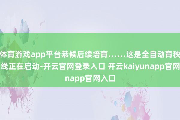 体育游戏app平台恭候后续培育……这是全自动育秧活水线正在启动-开云官网登录入口 开云kaiyunapp官网入口