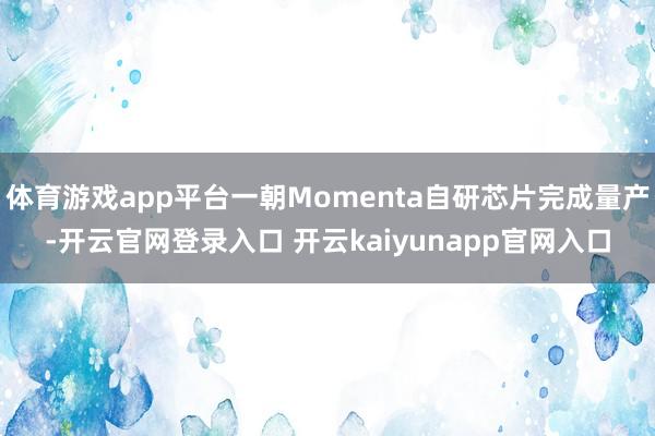 体育游戏app平台一朝Momenta自研芯片完成量产-开云官网登录入口 开云kaiyunapp官网入口