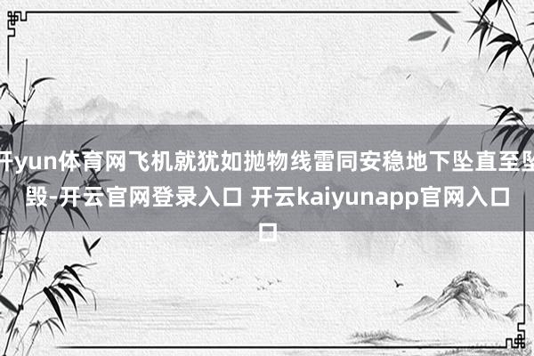 开yun体育网飞机就犹如抛物线雷同安稳地下坠直至坠毁-开云官网登录入口 开云kaiyunapp官网入口