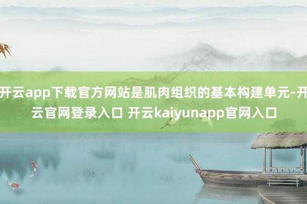 开云app下载官方网站是肌肉组织的基本构建单元-开云官网登录入口 开云kaiyunapp官网入口