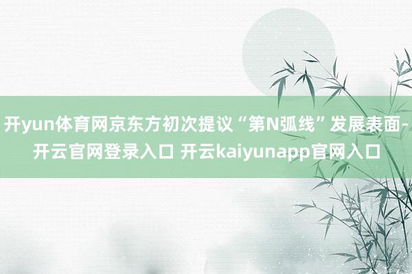 开yun体育网京东方初次提议“第N弧线”发展表面-开云官网登录入口 开云kaiyunapp官网入口