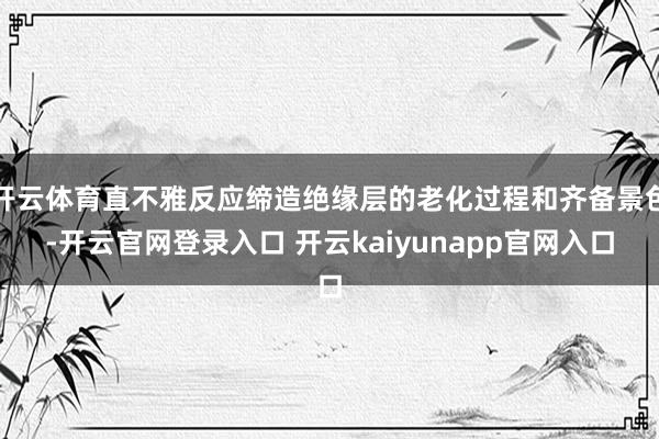 开云体育直不雅反应缔造绝缘层的老化过程和齐备景色-开云官网登录入口 开云kaiyunapp官网入口