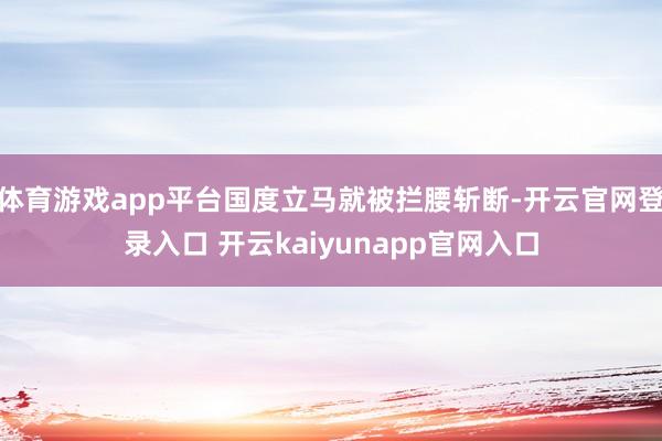 体育游戏app平台国度立马就被拦腰斩断-开云官网登录入口 开云kaiyunapp官网入口