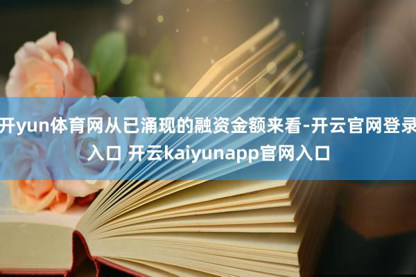 开yun体育网从已涌现的融资金额来看-开云官网登录入口 开云kaiyunapp官网入口
