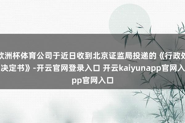 欧洲杯体育公司于近日收到北京证监局投递的《行政处罚决定书》-开云官网登录入口 开云kaiyunapp官网入口