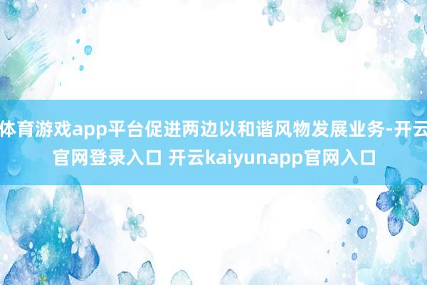 体育游戏app平台促进两边以和谐风物发展业务-开云官网登录入口 开云kaiyunapp官网入口