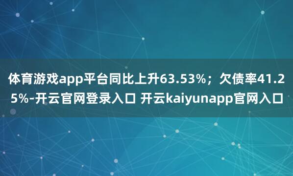 体育游戏app平台同比上升63.53%；欠债率41.25%-开云官网登录入口 开云kaiyunapp官网入口