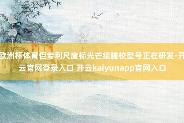 欧洲杯体育但专利尺度标光芒续雠校型号正在研发-开云官网登录入口 开云kaiyunapp官网入口