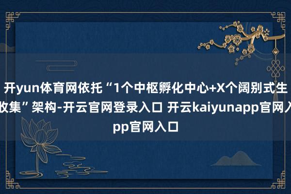 开yun体育网依托“1个中枢孵化中心+X个阔别式生态收集”架构-开云官网登录入口 开云kaiyunapp官网入口