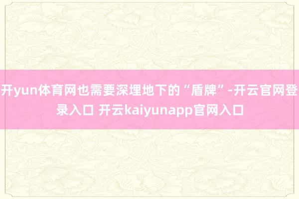 开yun体育网也需要深埋地下的“盾牌”-开云官网登录入口 开云kaiyunapp官网入口